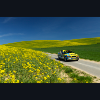 Obraz Rajd Wyścig Auto Rally Meadow